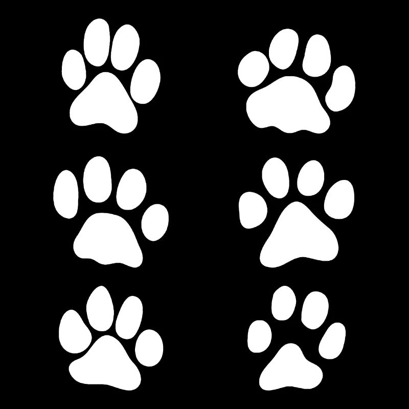 paws