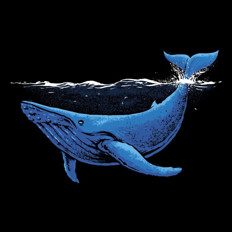 blue whale illustration
