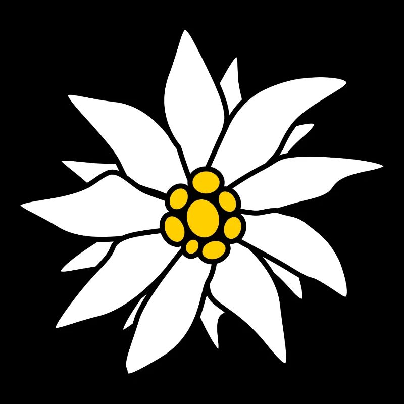 Edelweiss - Fleur alpine