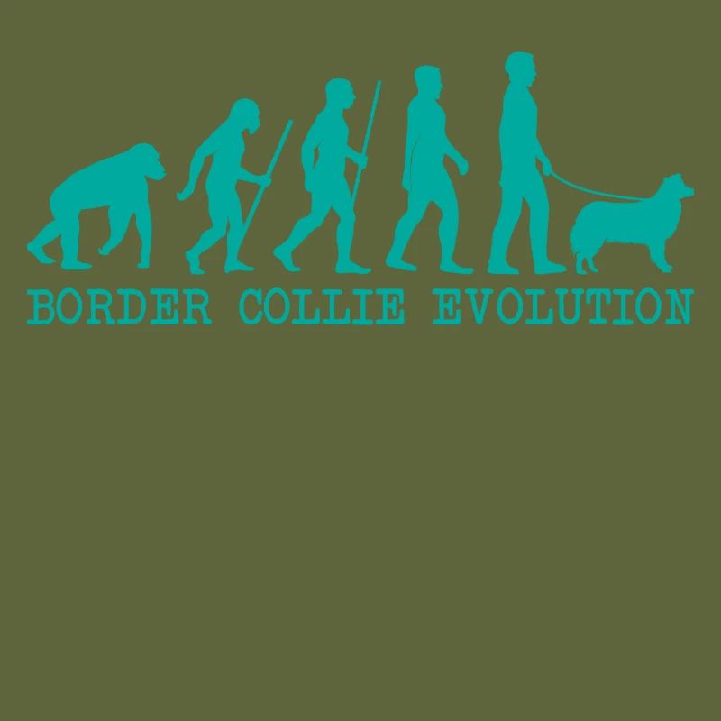 Évolution du Border Collie