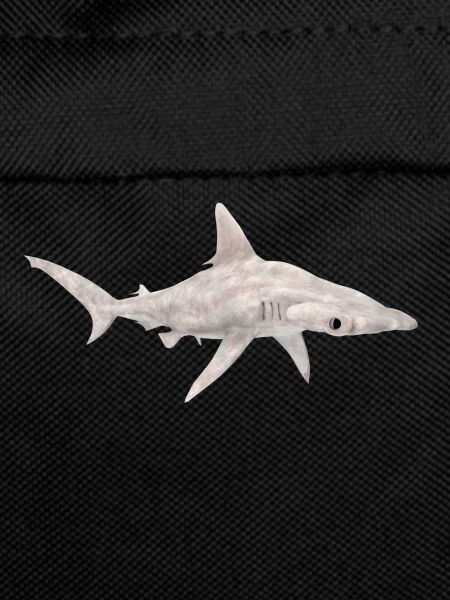 Great hammerhead, shark, shark