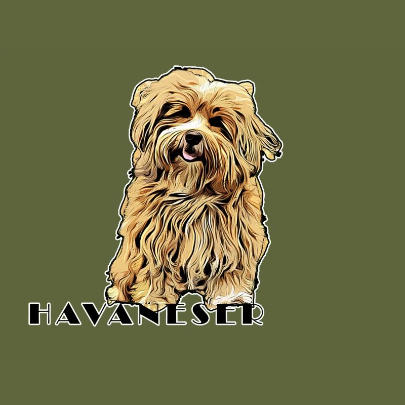 Havanese Comic Text2