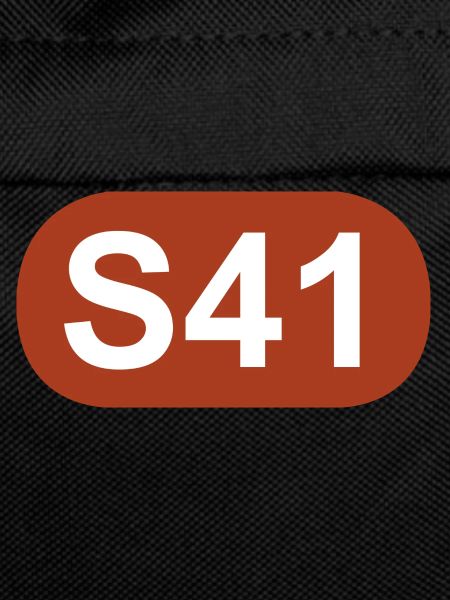 S-Bahn Berlin S41