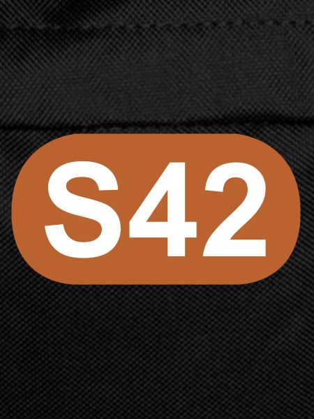 S-Bahn Berlin S42
