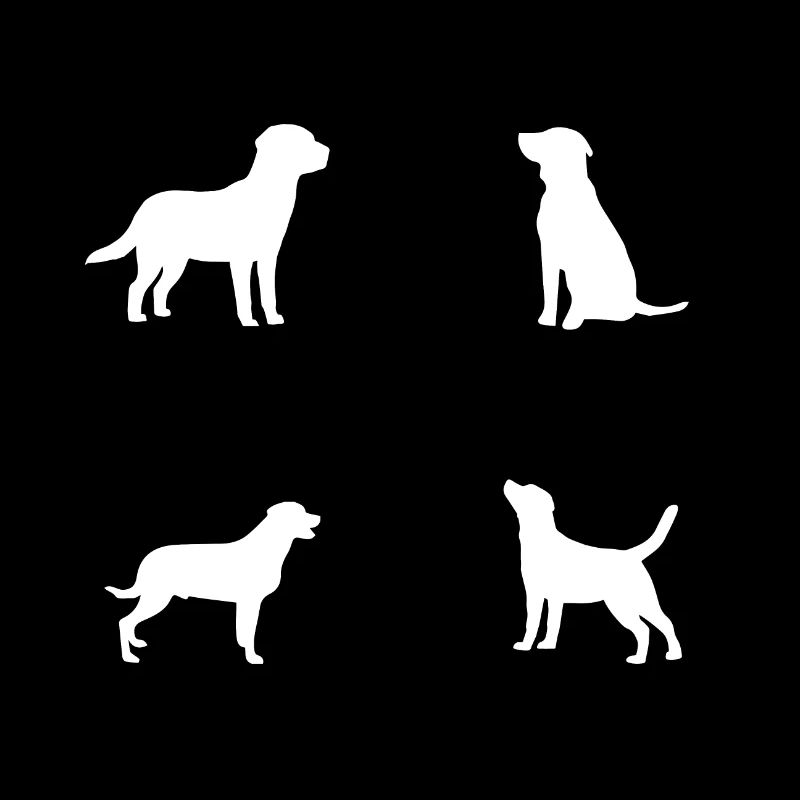 Chien chien