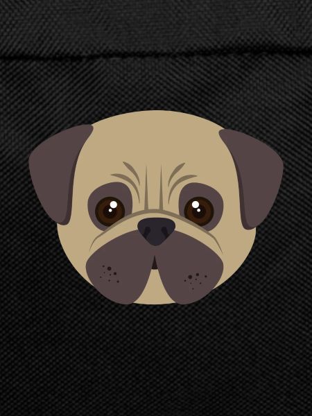 Pug