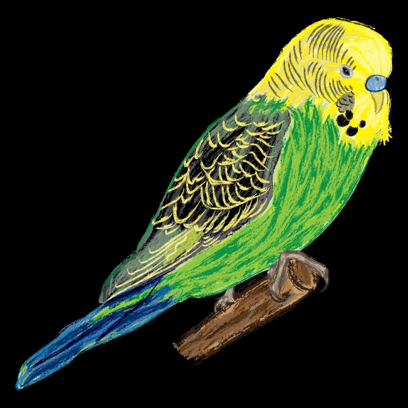 Yellow Budgie I