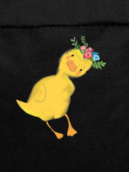 canard