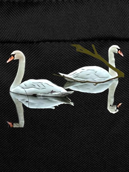 Cygnes
