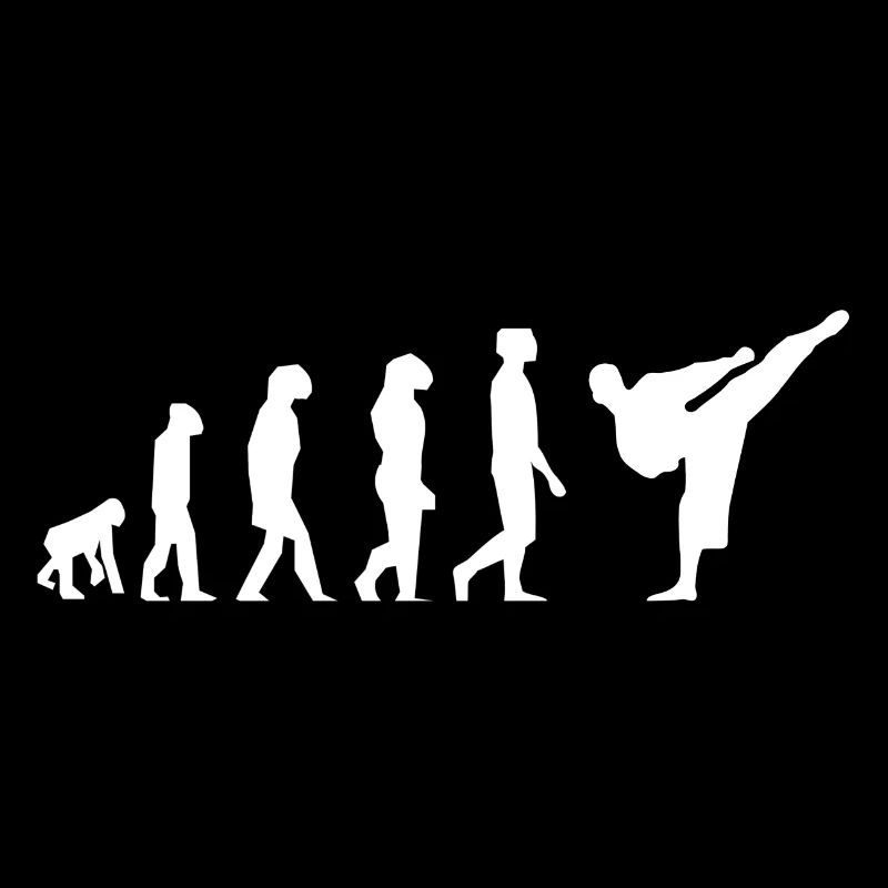 Karaté évolution