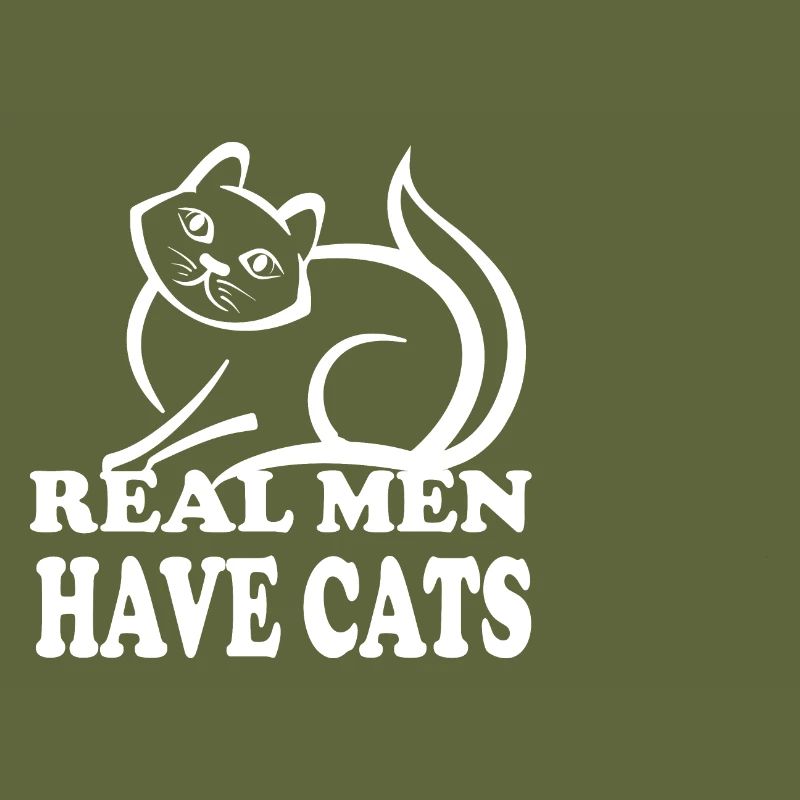 Katze Cat