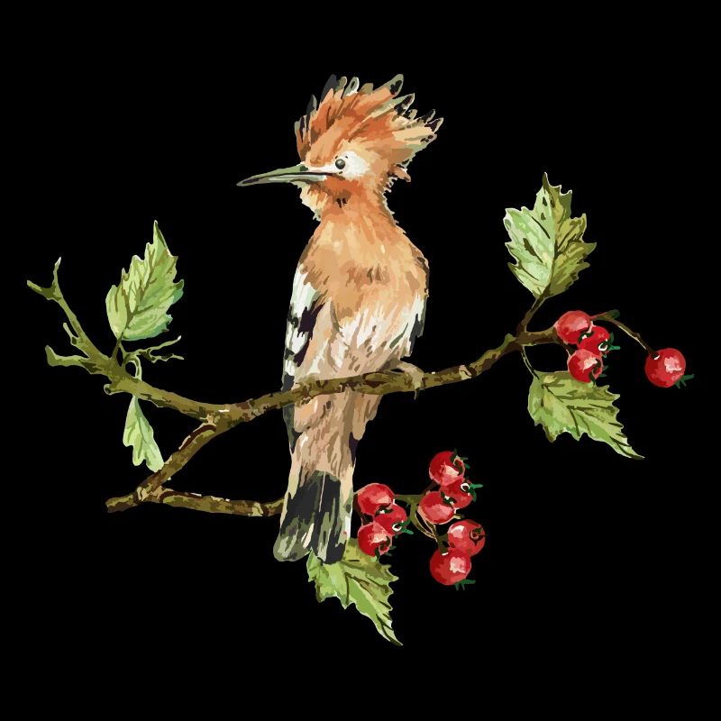 Oiseau coloré