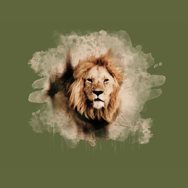 Lion splash