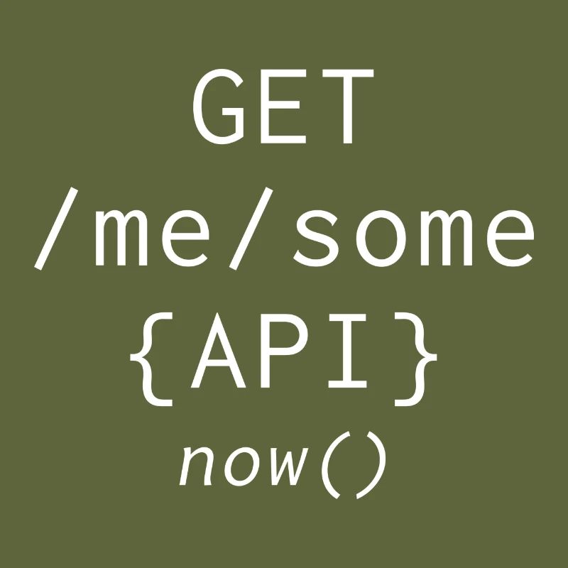 Api Programming Informatic Geschenk Spruch