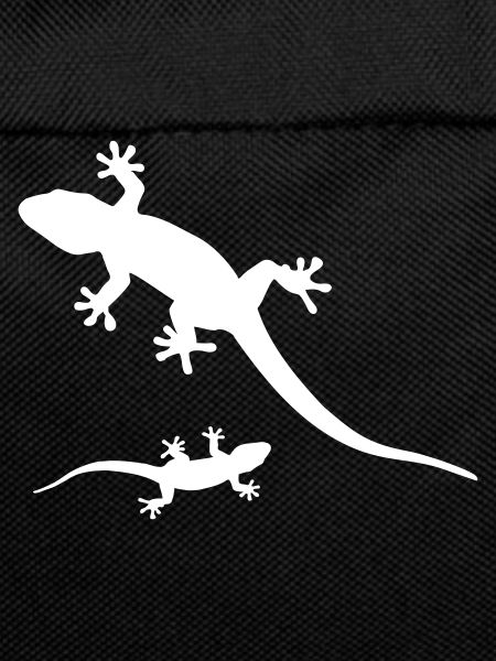 geckos