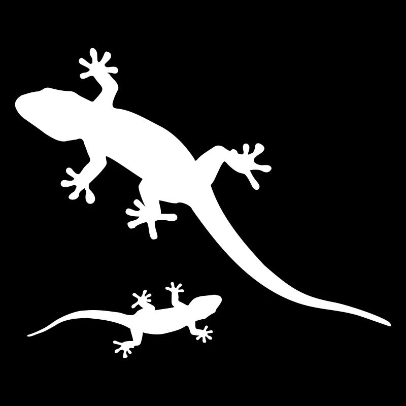Geckos