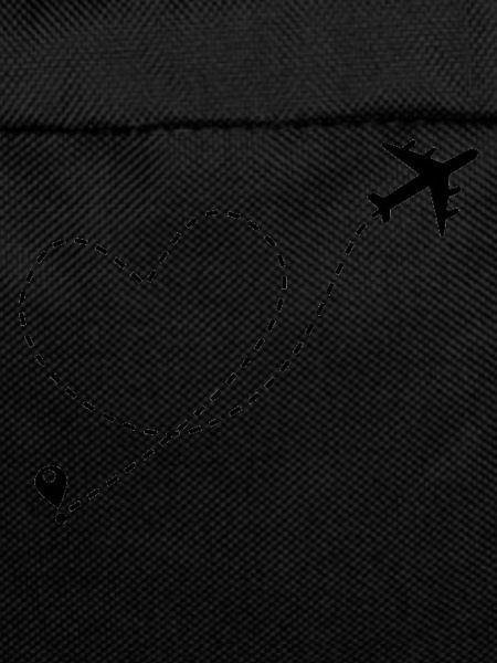 heart plane ride