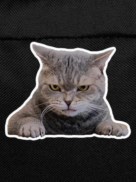 Cute, Grim Cat Face (Gift)