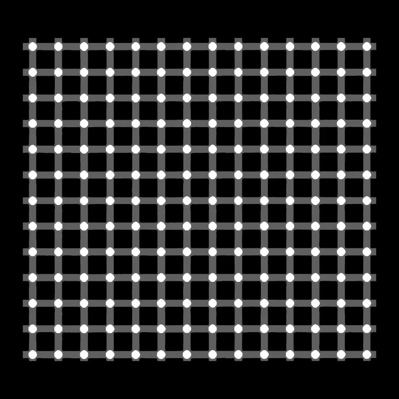 ILLUSION D’OPTIQUE