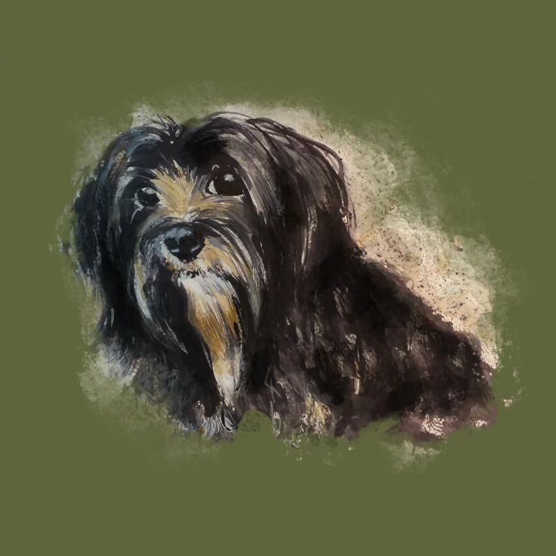 Havanese