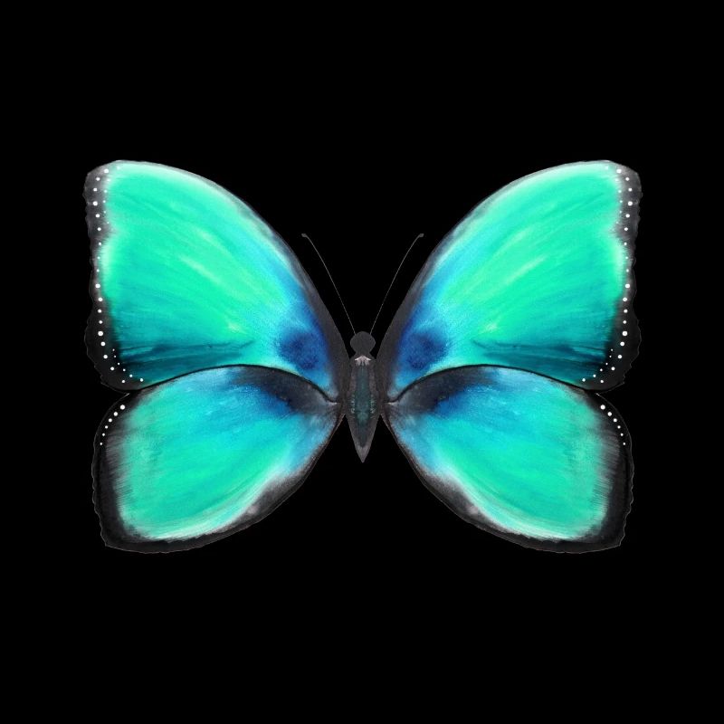 Blaue Freiheit
