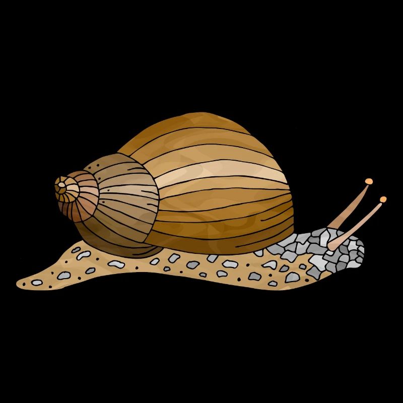 Schnecke