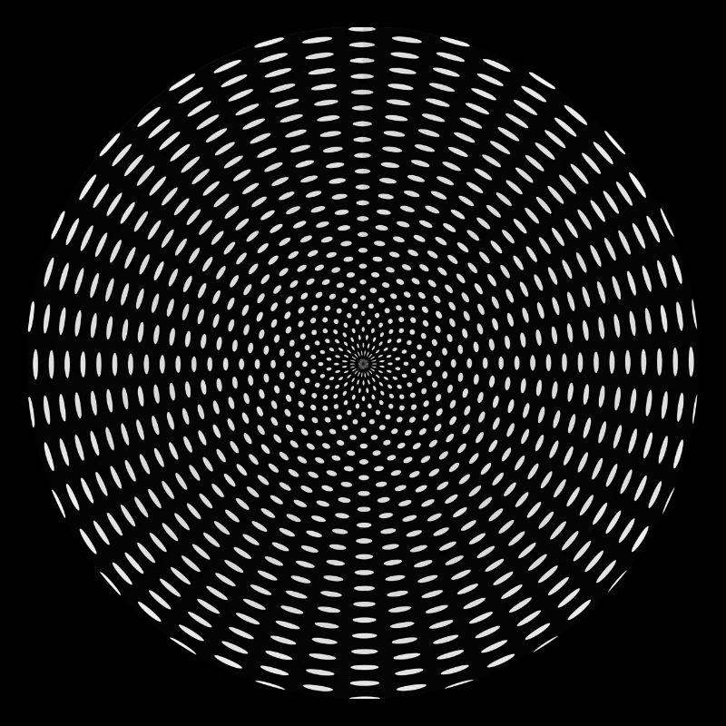 Optical Illusion Tunnel Gift