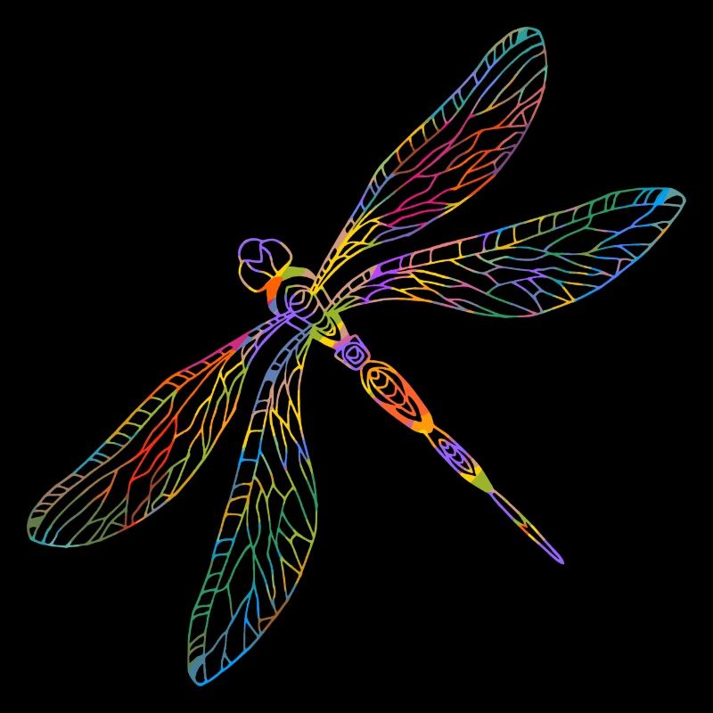 dragonfly