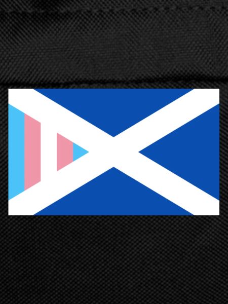 Transgender Pride Saltire
