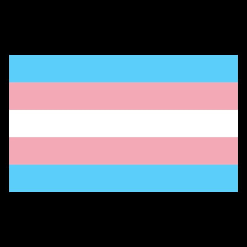 LGBT Transgender