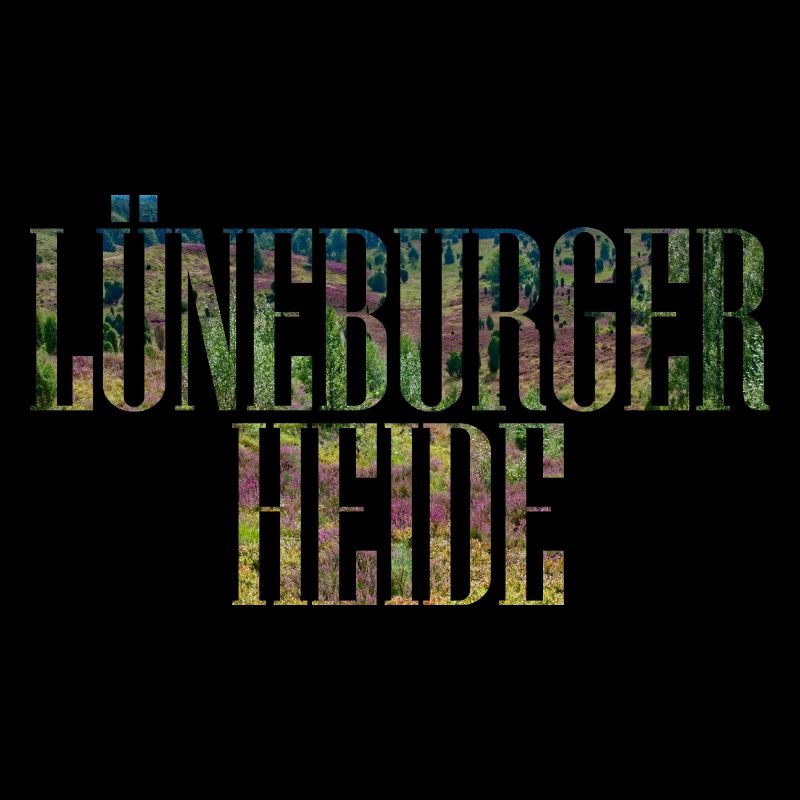 Lüneburger Heide Deutschland Landschaft