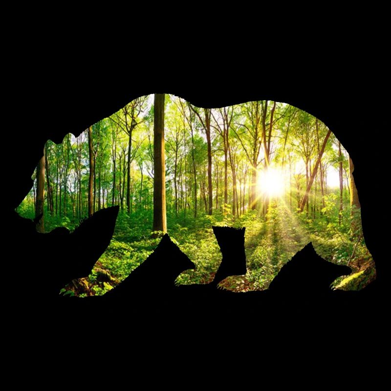 Bär umwelt