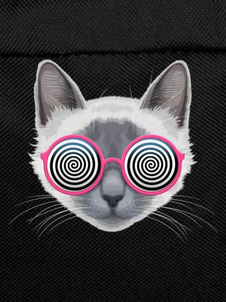 Hypnotic Cat