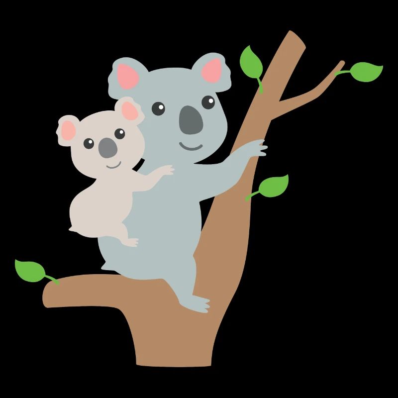 Koala Bären