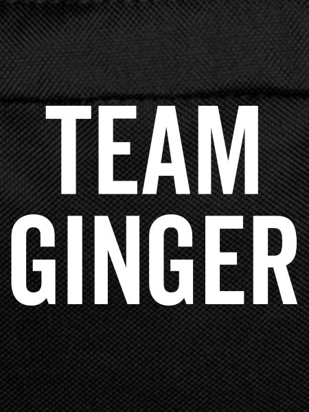 Équipe Ginger