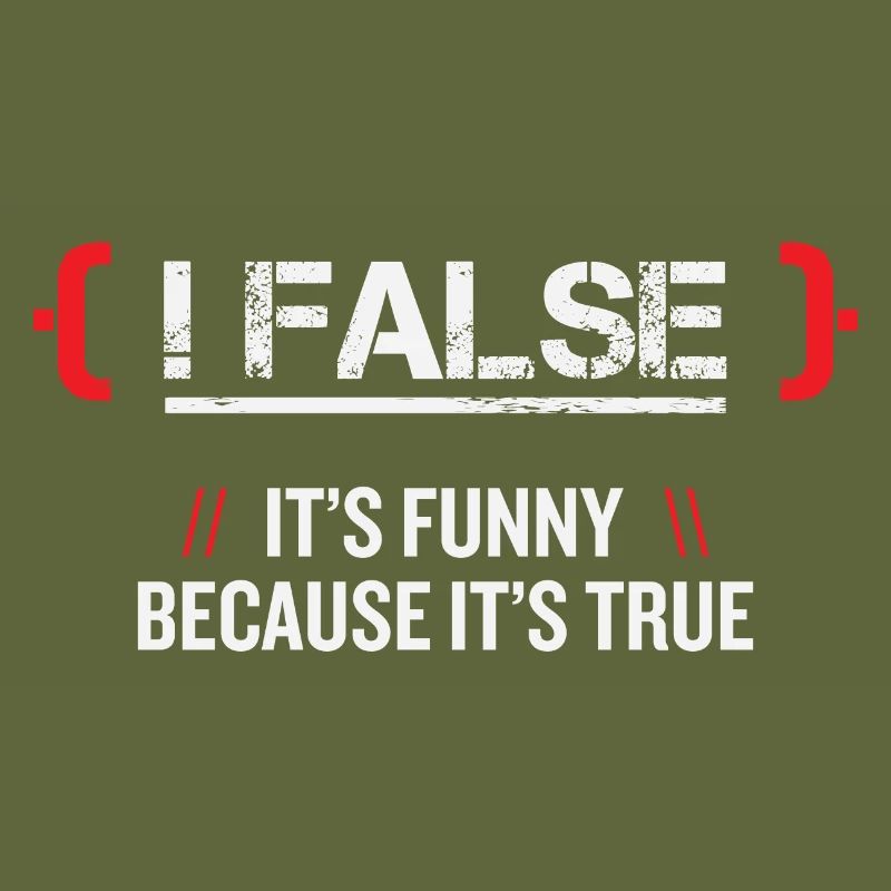False Programmer