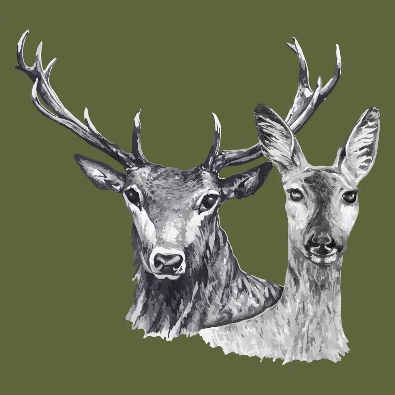 Deer and doe