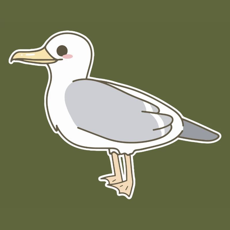 Möwe