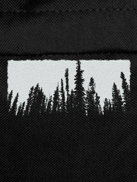 white trees forest nature