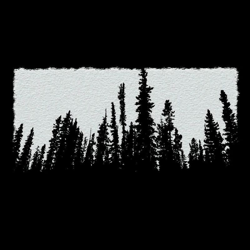 white trees forest nature