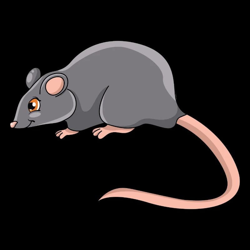 Rat