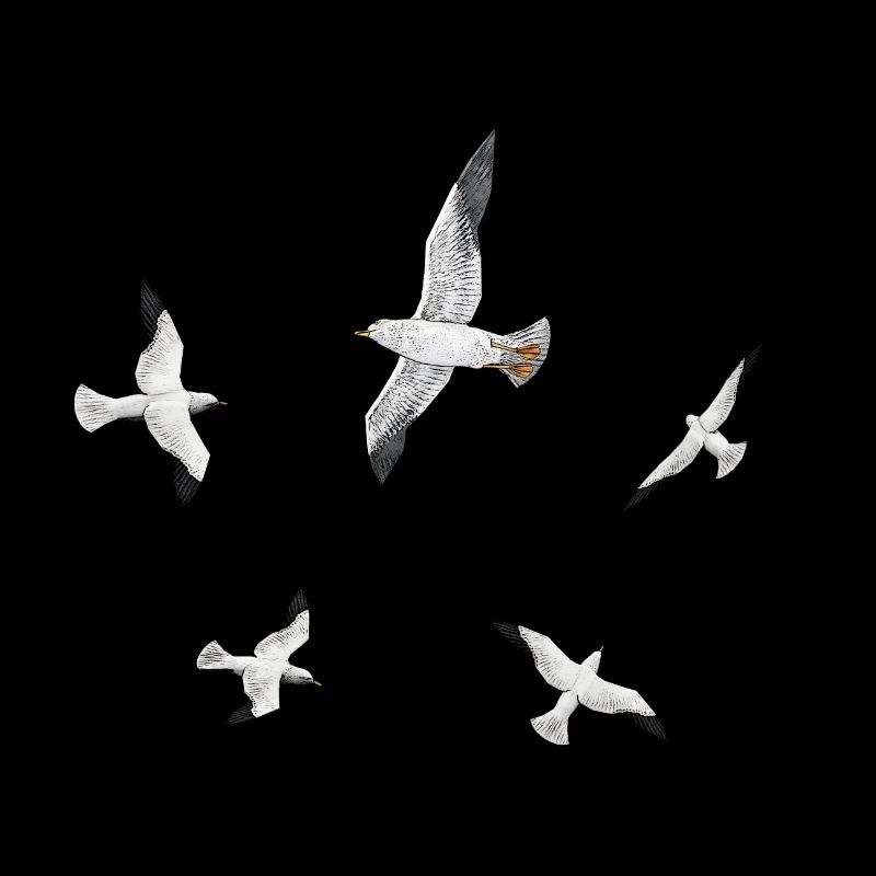 Seagulls, gulls, terns, seabirds