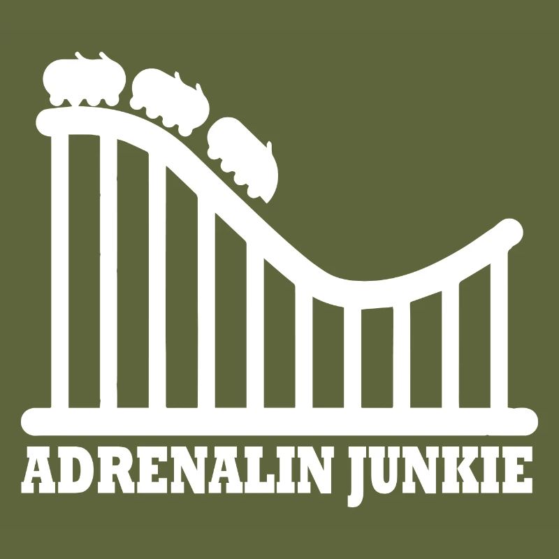 Rollercoaster Roller Coaster Amusement Park