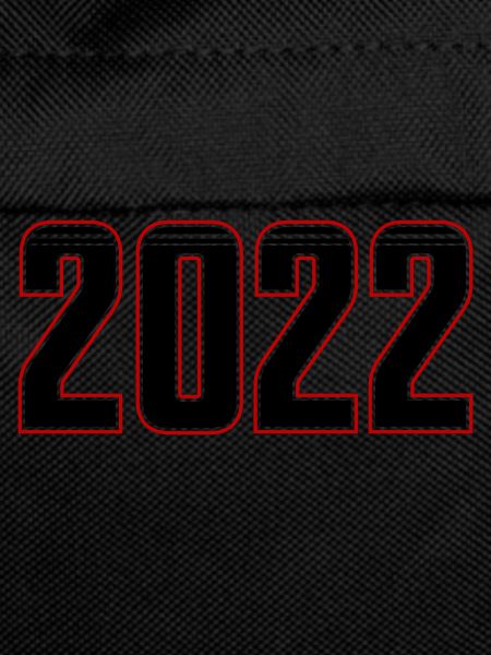 2022 year