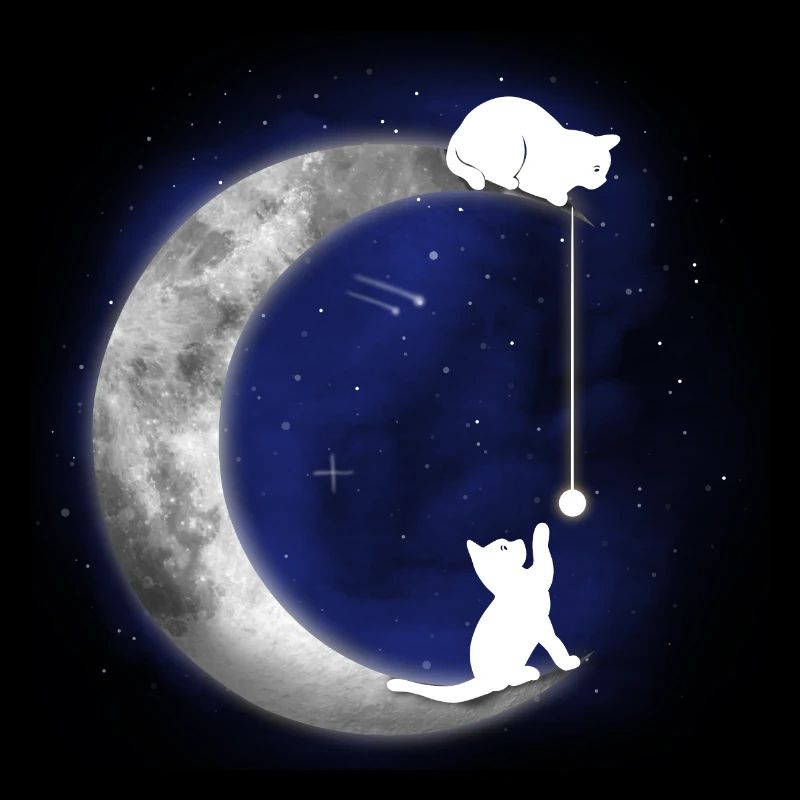 Katze
