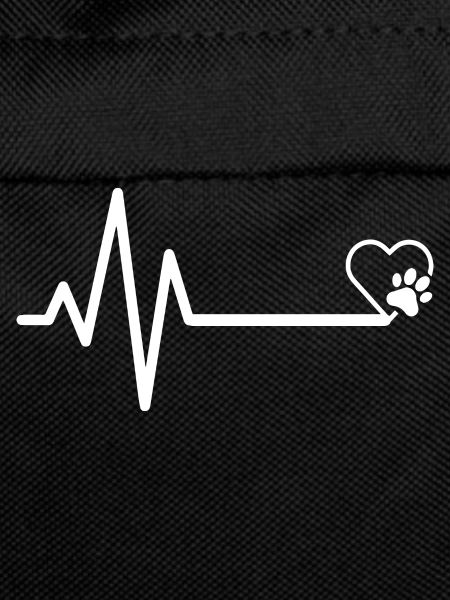 Hund Dog Agility