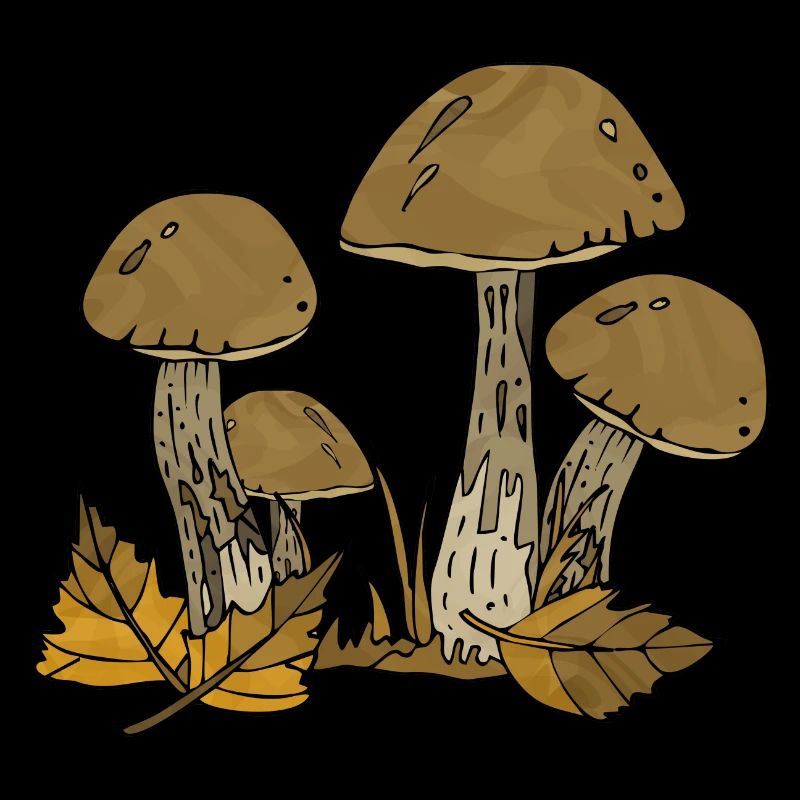 Pilze