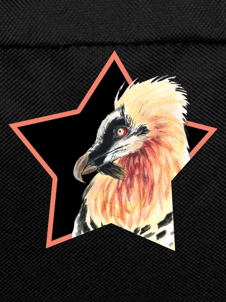 Bearded vulture