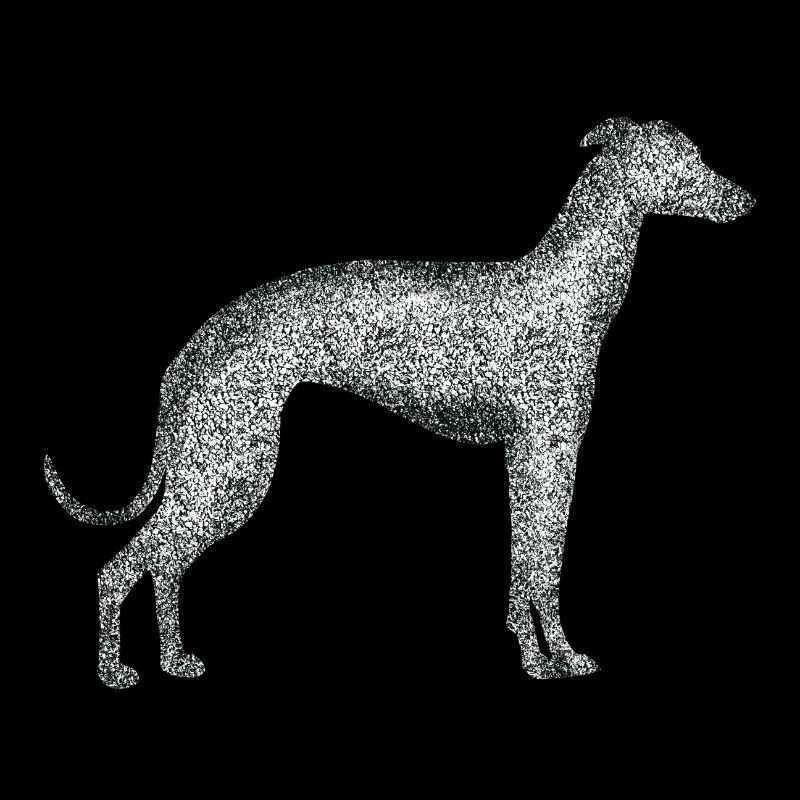 Black White Greyhound