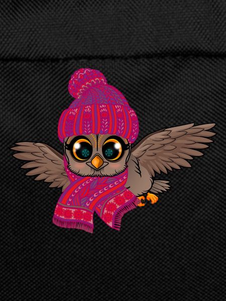 Frost Owl Frostbite Autumn Winter